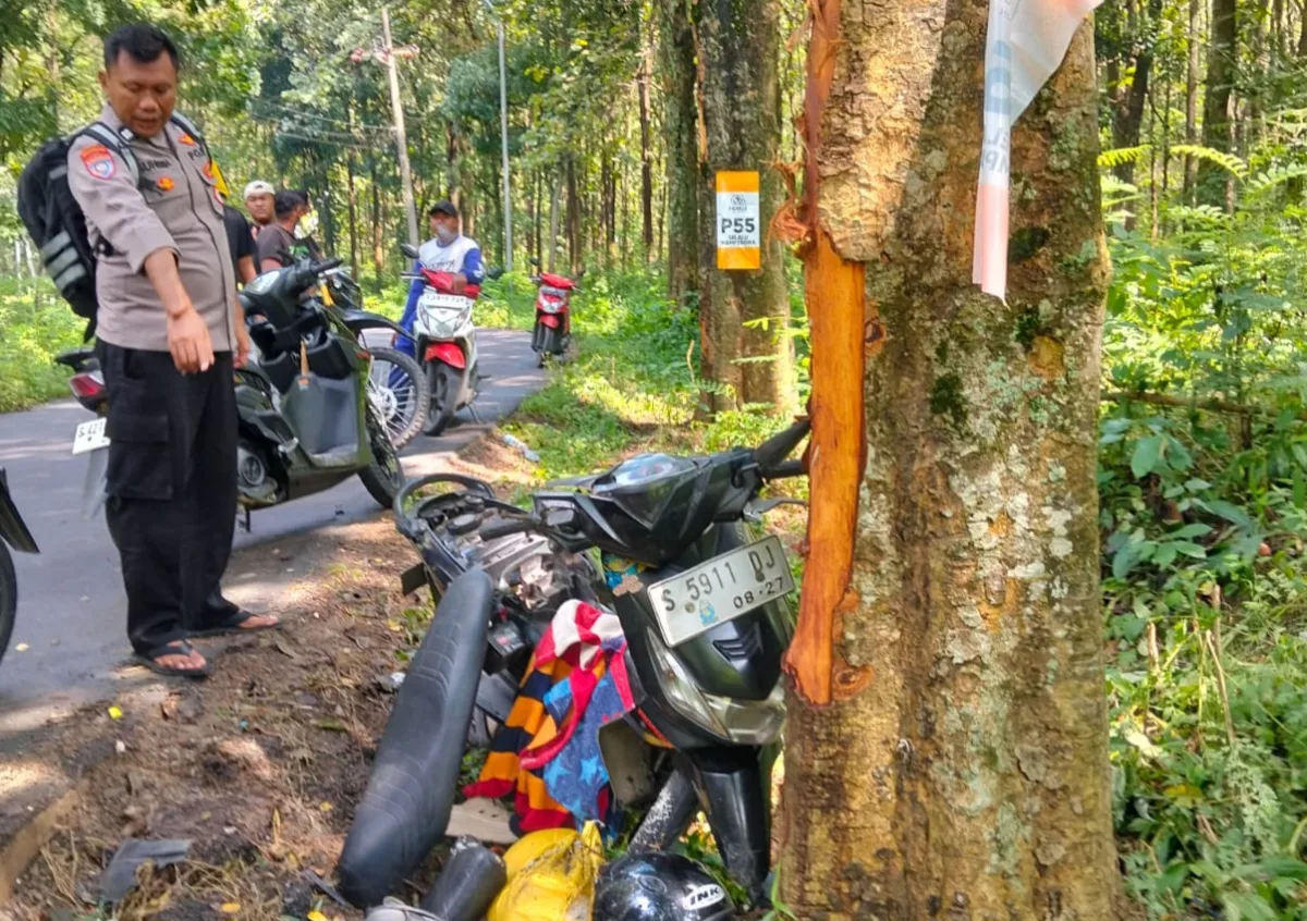 Satu Keluarga Asal Tulungagung Kecelakaan di Bojonegoro, Motor Oleng Hantam Pohon 