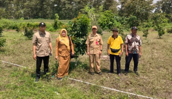 Dongkrak Ekonomi, DKPP Bojonegoro Sebar Ribuan Bibit Alpukat