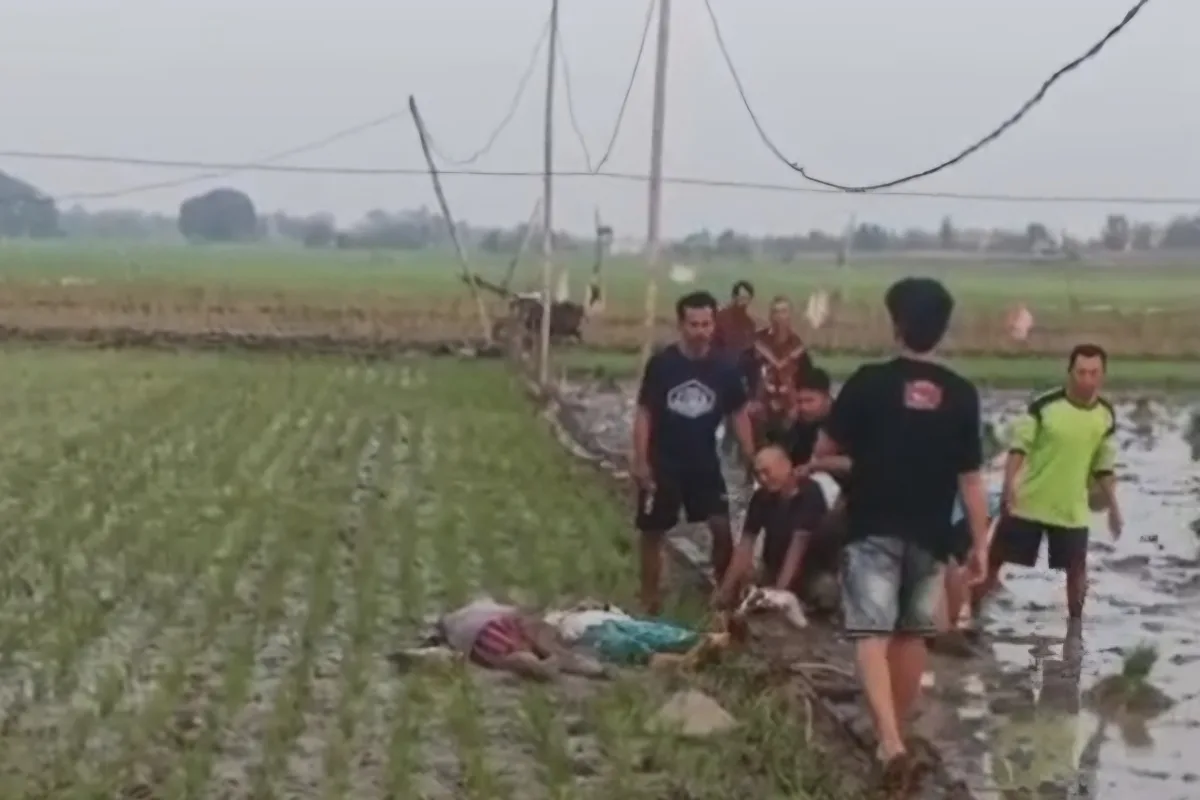 Ibu dan Anak Tewas Gegara Tersengat Listrik Jebakan Tikus Sawah