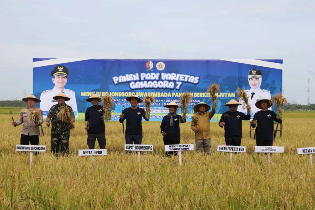 Bidik Produsen Padi Tertinggi Nasional 2028, Bupati Setyo Wahono Pacu Swasembada Pangan di Bojonegoro