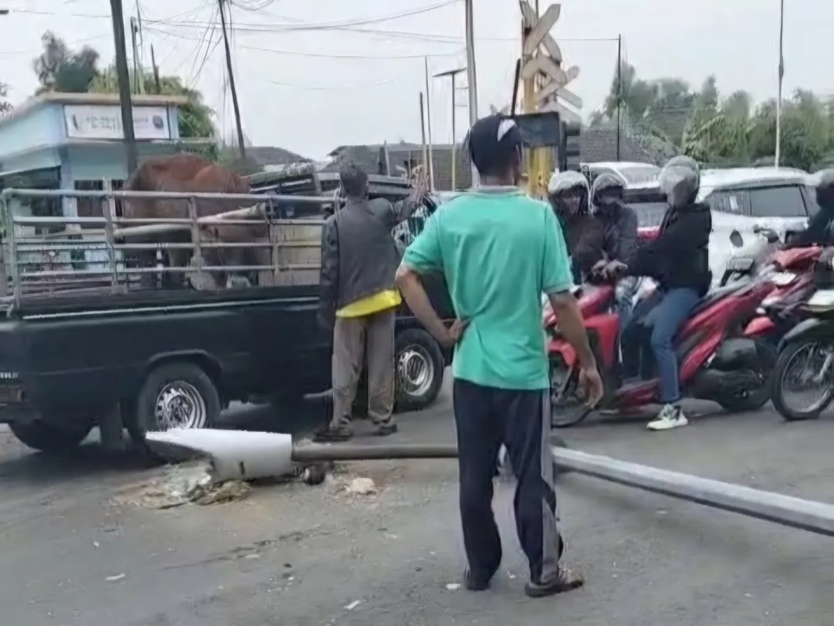 Kronologi Truk Tronton Tabrak Traffic Light dan Honda Brio di Balen Bojonegoro