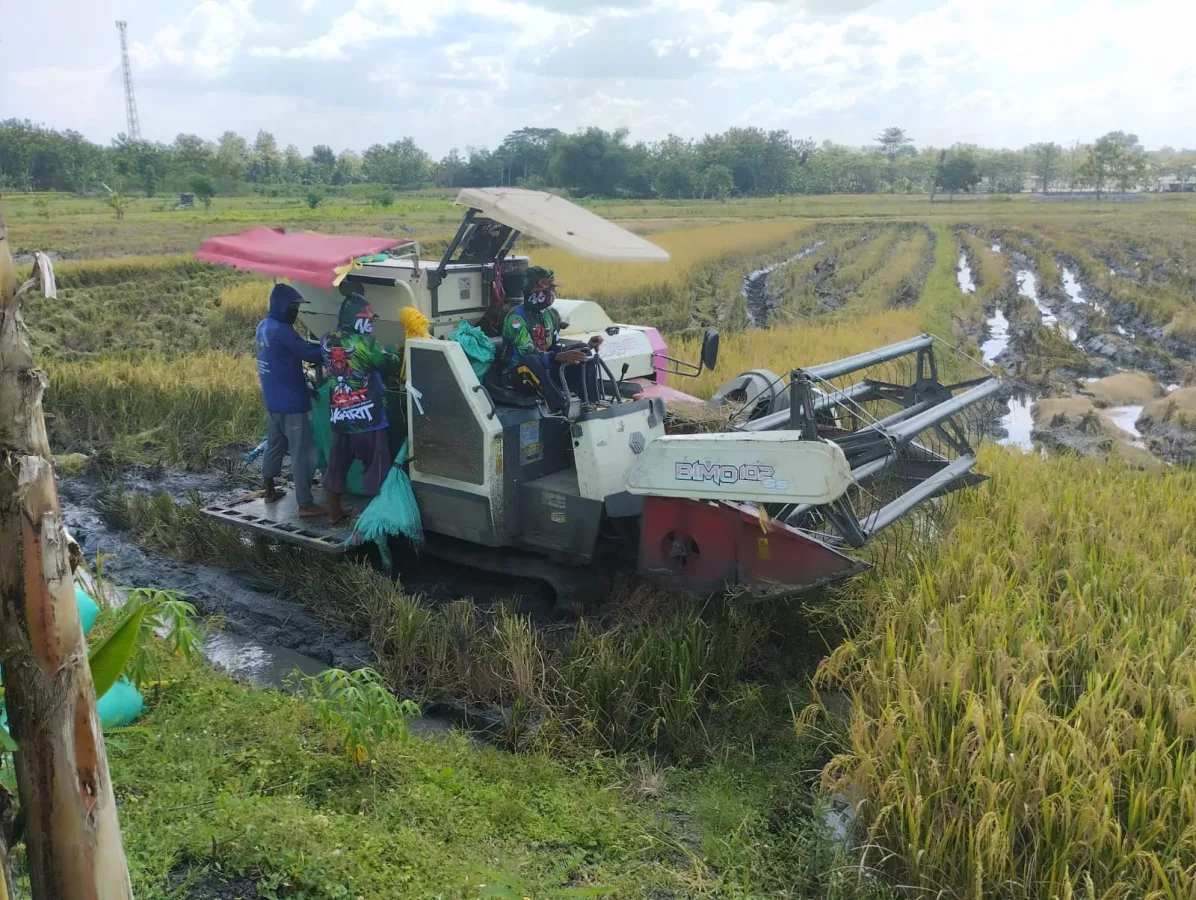 DPRD Minta Satgas Pangan Bojonegoro Awasi Permainan Harga Gabah