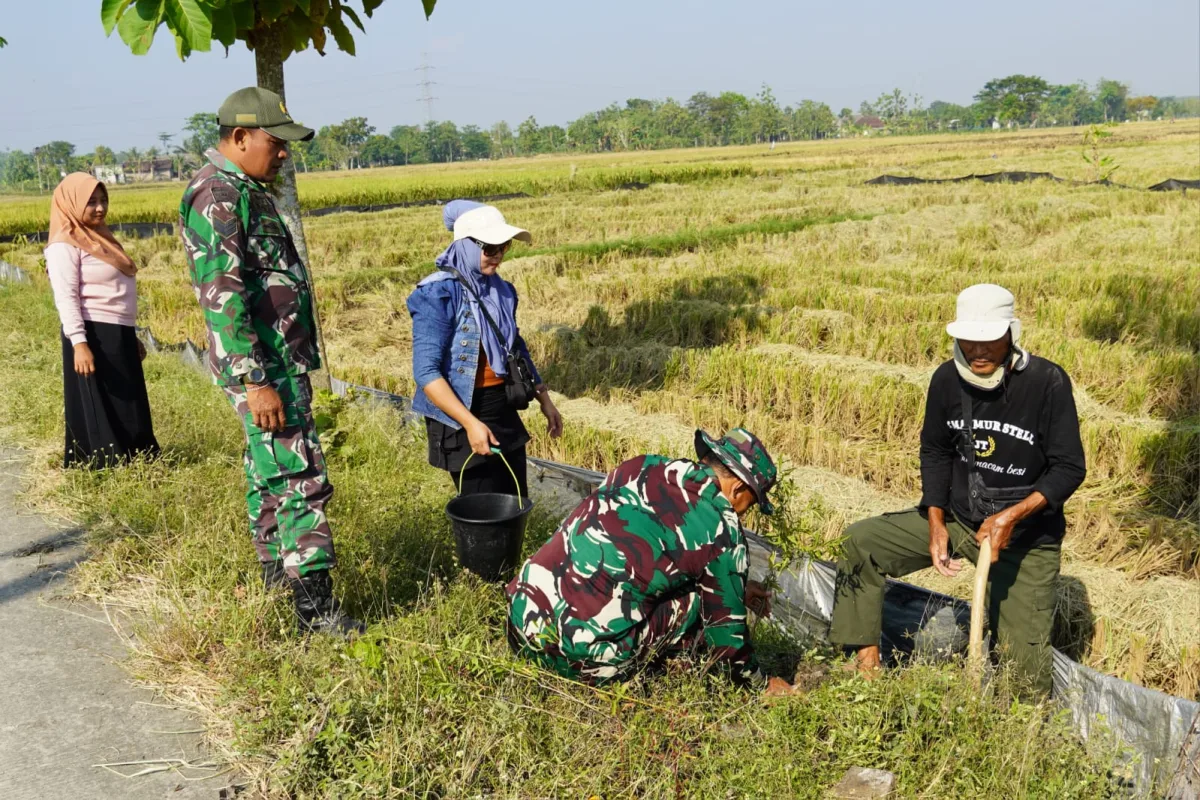 Mitigasi Bencana, TNI dan Masyarakat Tanam 2.000 Pohon di Bojonegoro